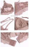 Natural Silk Sheer Womens Triangle Lace Bra Sexy Lace Lingerie details